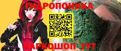 крисы Балаково