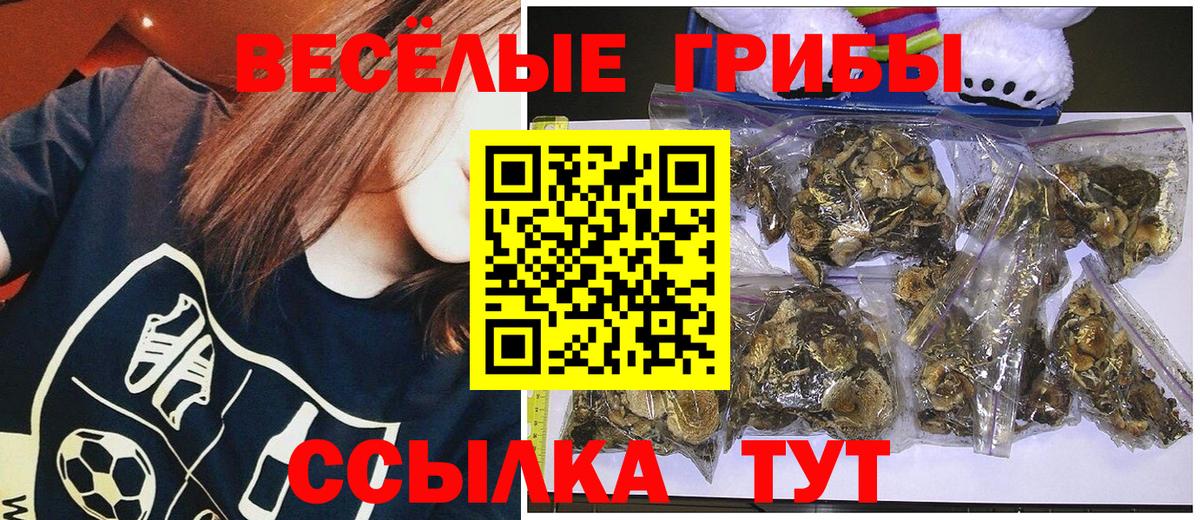 Гусь-Хрустальный  Псилоцибиновые грибы прущие грибы  Вход с VPN  цена   Псилоцибиновые грибы MAGIC MUSHROOMS 